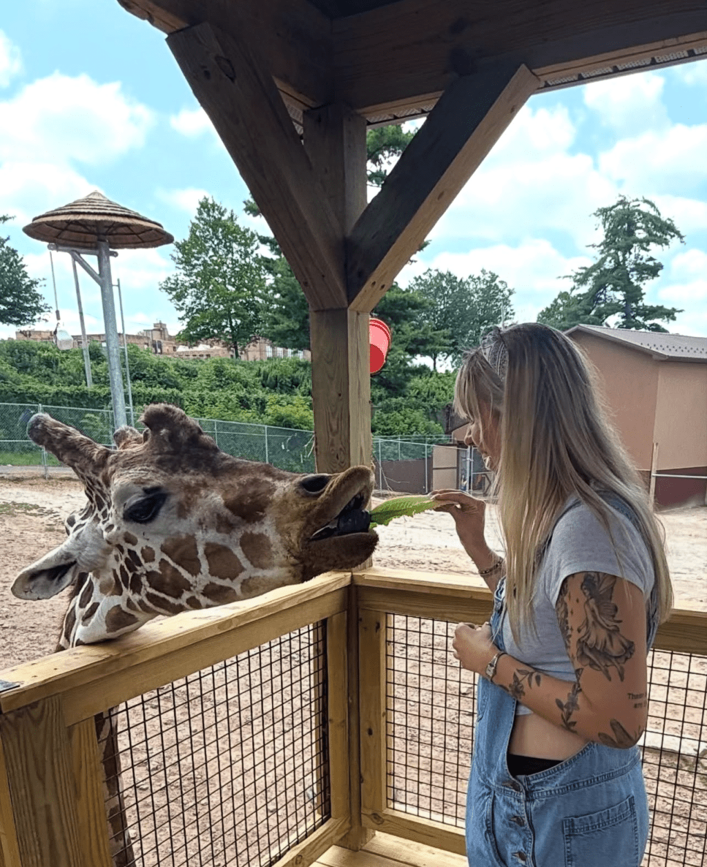 One Last Look at Summer 